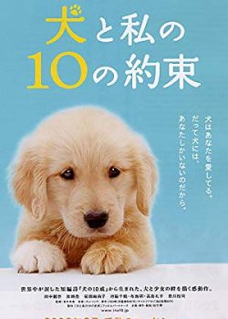 10 Lời Hứa Dành Cho Chú Chó Của Tôi - 10 Promises to My Dog