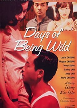 A Phi Chính Truyện – Days of Being Wild