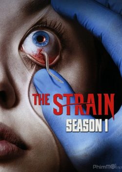 Bệnh Dịch Ma Cà Rồng (Chủng virus) (Phần 1) - The Strain (Season 1)
