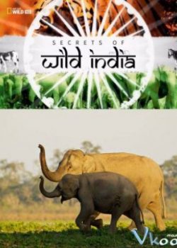 Bí Ẩn Thế Giới Hoang Dã Ấn Độ: Vương Quốc Loài Voi - Secrets Of Wild India: Elephant Kingdom