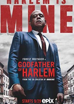 Bố Già Harlem (Phần 1) - Godfather of Harlem (Season 1)