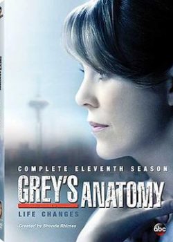 Ca Phẫu Thuật Của Grey (Phần 11) - Grey's Anatomy (Season 11)