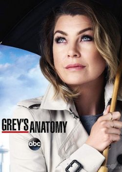 Ca Phẫu Thuật Của Grey (Phần 13) - Grey's Anatomy (Season 13)