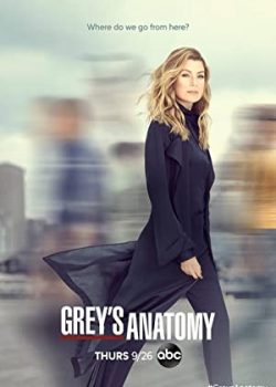 Ca Phẫu Thuật Của Grey (Phần 14) - Grey's Anatomy (Season 14)