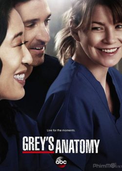 Ca Phẫu Thuật Của Grey (Phần 15) - Grey's Anatomy (Season 15)