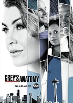 Ca Phẫu Thuật Của Grey (Phần 16) – Grey’s Anatomy (Season 16)