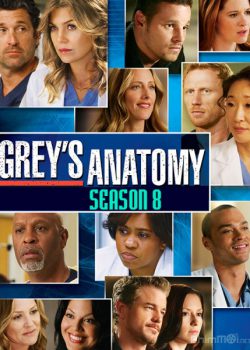 Ca Phẫu Thuật Của Grey (Phần 8) – Grey’s Anatomy (Season 8)