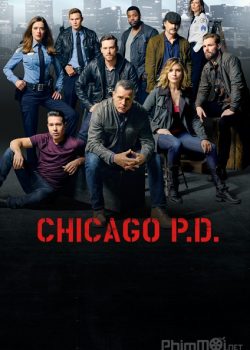Cảnh sát Chicago (Phần 3) – Chicago P.D. (Season 3)