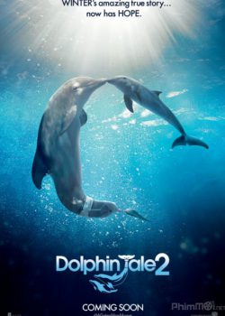 Câu Chuyện Cá Heo 2 – Dolphin Tale 2