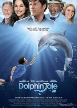 Câu Chuyện Cá Heo – Dolphin Tale