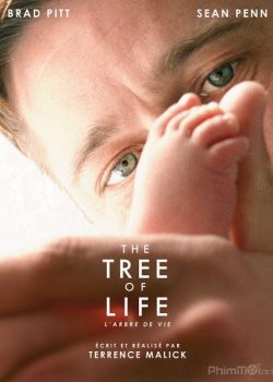 Bố Mẹ Là Tất Cả / Cây Đời - The Tree of Life