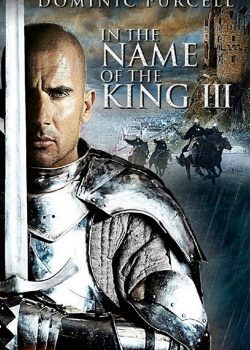 Chân Mệnh Thiên Tử 3 – In the Name of the King: The Last Job