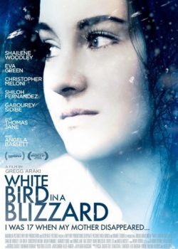 Chim Trắng Giữa Bão Tuyết - White Bird in a Blizzard