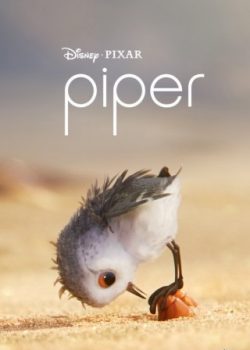 Chú Chim Trên Bờ Biển – Piper