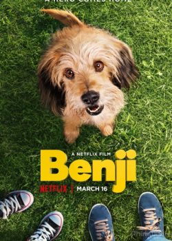 Chú Chó Dũng Cảm – Benji