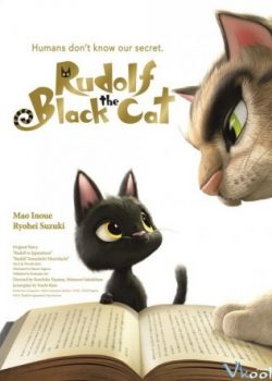 Chú Mèo Đi Lạc – Rudolf The Black Cat