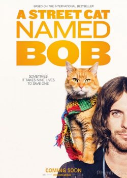 Chú Mèo Đường Phố – A Street Cat Named Bob