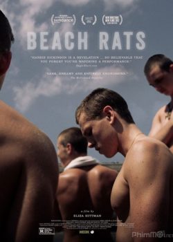 Chuột Bãi Biển - Beach Rats
