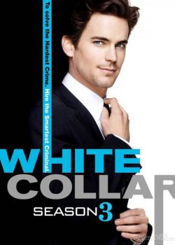 Cổ Cồn Trắng (Phần 3) - White Collar (Season 3)
