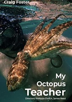 Cô Giáo Bạch Tuộc – My Octopus Teacher
