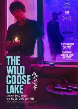 Cuộc Gặp Gỡ Ở Bến Xe Phía Nam – The Wild Goose Lake