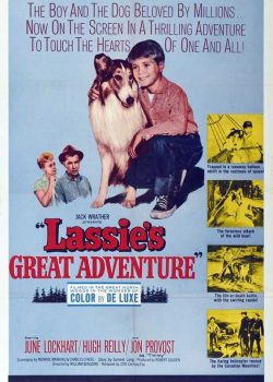 Cuộc phiêu lưu vĩ đại của Lassie - Lassie's Great Adventure