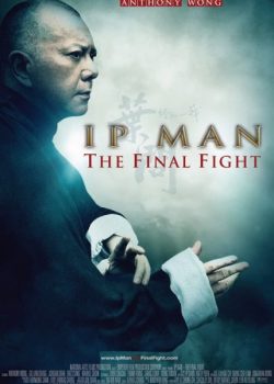Diệp Vấn: Trận Chiến Cuối Cùng - IP Man: The Final Fight
