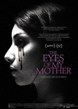 Đôi Mắt Của Mẹ – The Eyes of My Mother