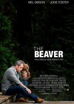 Hải Ly - The Beaver