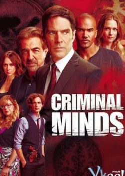 Hành Vi Phạm Tội (Phần 8) - Criminal Minds (Season 8)
