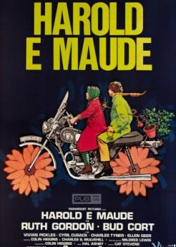 Harold Và Maude – Harold And Maude