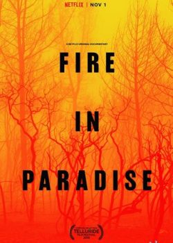 Hỏa Hoạn Tại Paradise – Fire In Paradise