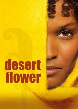 Hoa Sa Mạc - Desert Flower