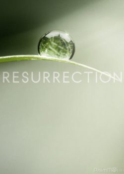 Hồi Sinh (Tái Sinh)  (Phần 1) - Resurrection (Season 1)