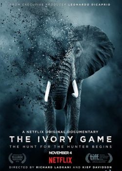 Kẻ Trộm Ngà Voi – The Ivory Game