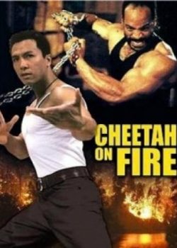 Liệp Báo Hành Động - Cheetah On Fire