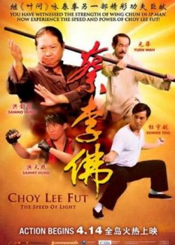 Lò Võ Trung hoa - Choy Lee Fut