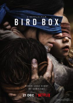 Lồng Chim - Bird Box
