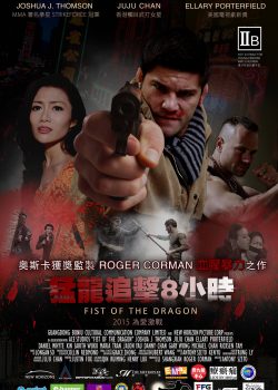 Long Quyền – Fist Of The Dragon
