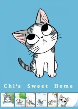 Mái Ấm Của Mèo Chii - Chi's Sweet Home
