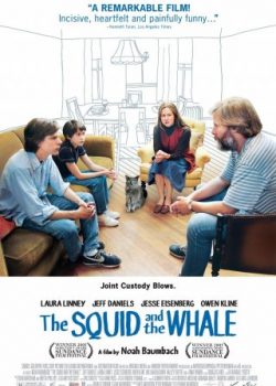 Mồi Mực Và Cá Voi – The Squid And The Whale