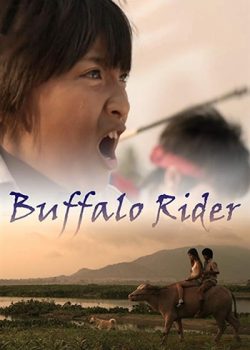 Người Cỡi Trâu - Buffalo Rider