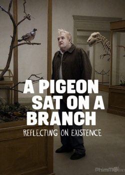 Nhìn Cuộc Đời Qua Đôi Mắt Chim Câu – A Pigeon Sat on a Branch Reflecting on Existence