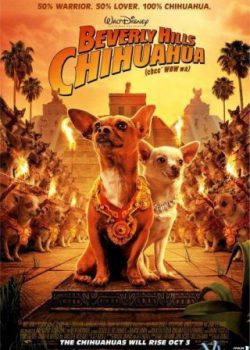 Những Chú Chó Chihuahua Ở Đồi Beverly 1 – Beverly Hills Chihuahua I