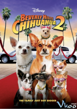 Những Chú Chó Chihuahua Ở Đồi Beverly 2 - Beverly Hills Chihuahua II