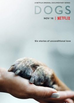 Những Chú Chó (Phần 1) - Dogs (Season 1)