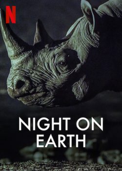 Màn Đêm Trên Trái Đất (Phần 1) - Night on Earth (Season 1)