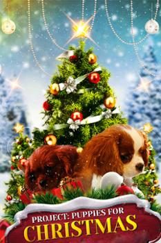 Quà Giáng Sinh Bất Ngờ – Puppies for Christmas