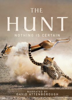 Săn Mồi - The Hunt (BBC)