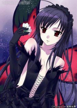 Thế Giới Gia Tốc - Accel World Specials / Accelerated World Specials